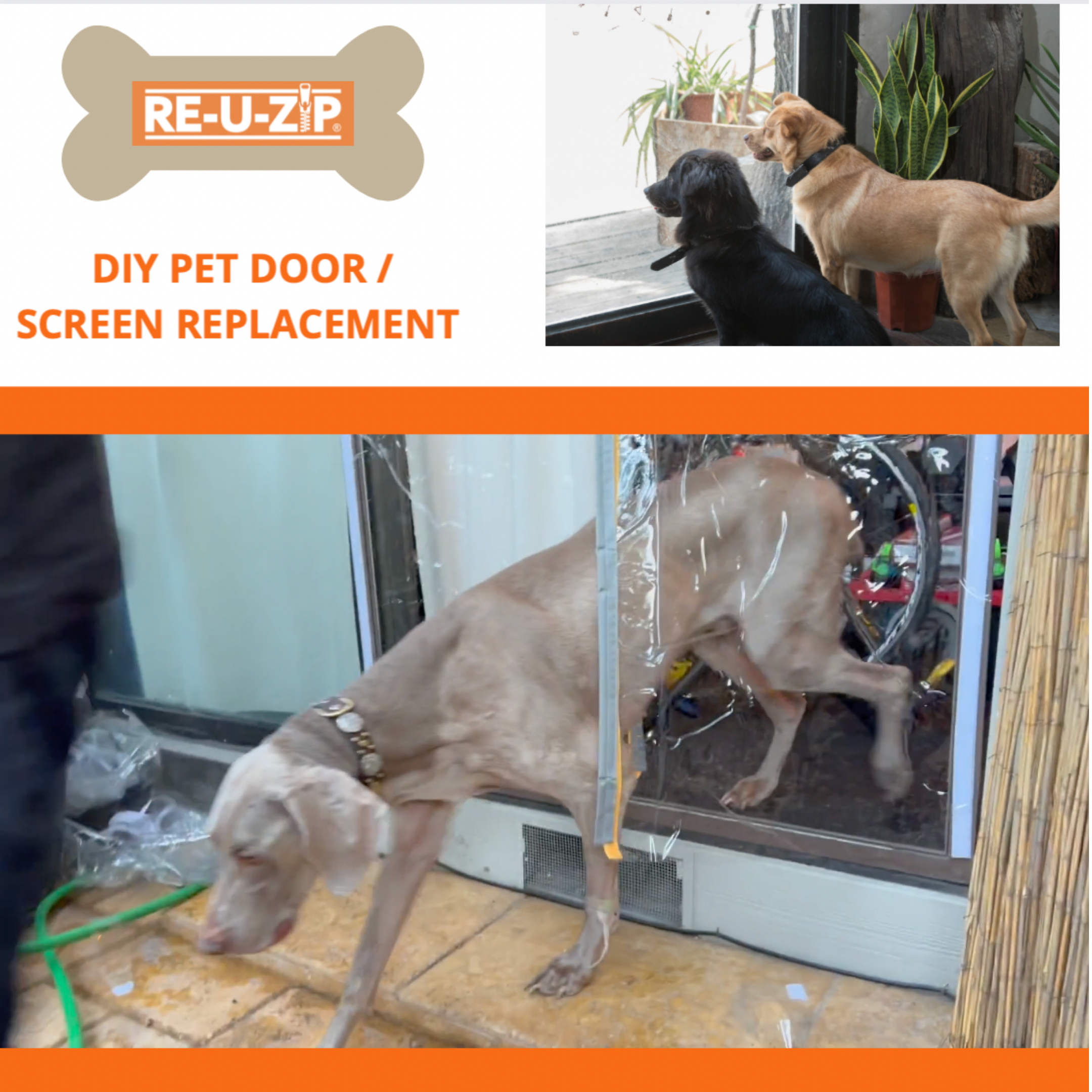 Diy doggie door 2024 for screen door